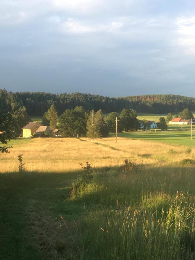 Familienapartments Mit Balkon Und Garten Ober-Lembach Bagian luar foto