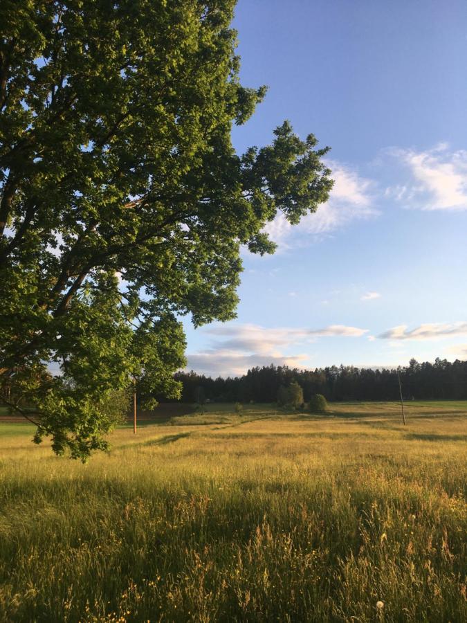 Familienapartments Mit Balkon Und Garten Ober-Lembach Bagian luar foto